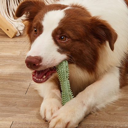DentaPlay Dental Chew Toy - Interactive Teeth Cleaning for Dogs