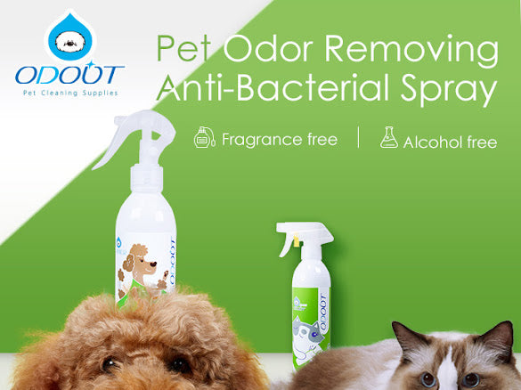Odor Removing Anti-Bacterial Spray